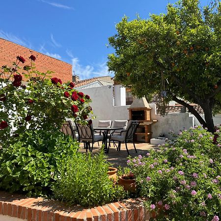 El Patio De Los Naranjos Guadalupe  Dış mekan fotoğraf