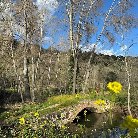 El Patio De Los Naranjos Guadalupe  Dış mekan fotoğraf
