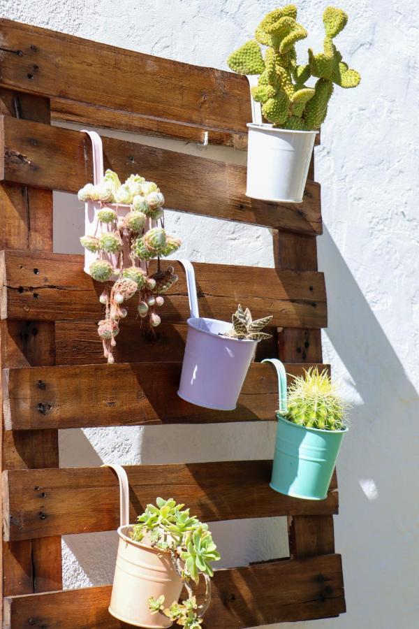 El Patio De Los Naranjos Guadalupe  Dış mekan fotoğraf