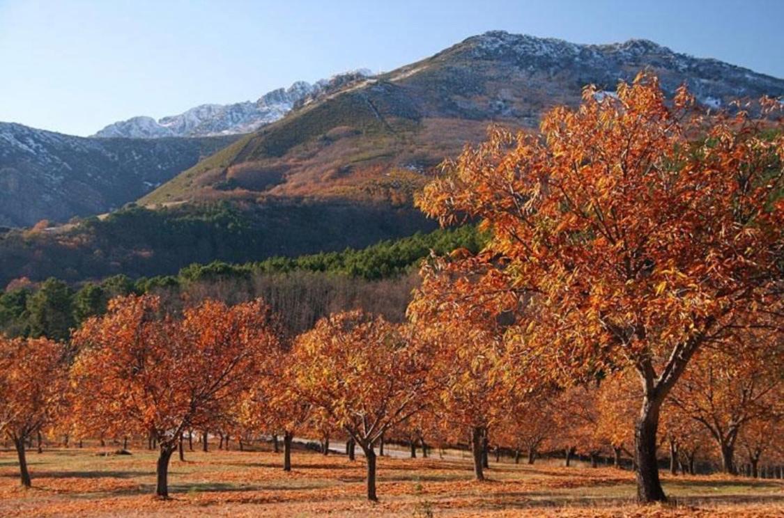 El Patio De Los Naranjos Guadalupe  Dış mekan fotoğraf