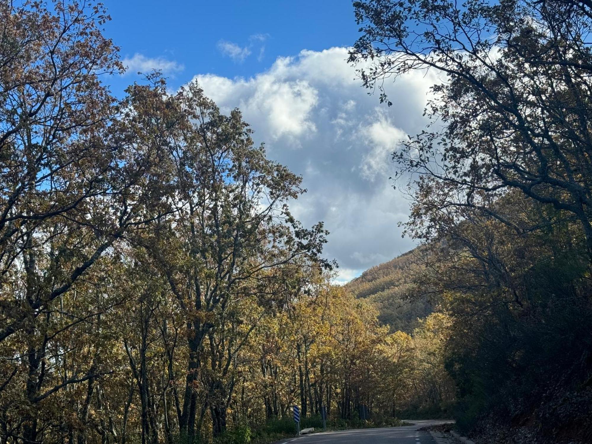 El Patio De Los Naranjos Guadalupe  Dış mekan fotoğraf