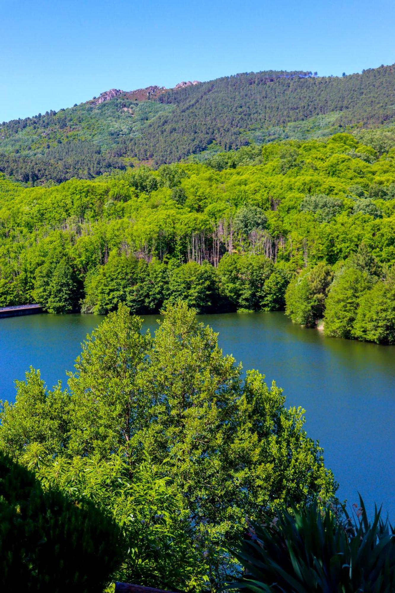 El Patio De Los Naranjos Guadalupe  Dış mekan fotoğraf