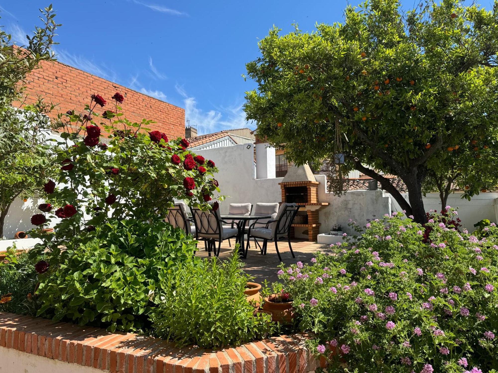 El Patio De Los Naranjos Guadalupe  Dış mekan fotoğraf
