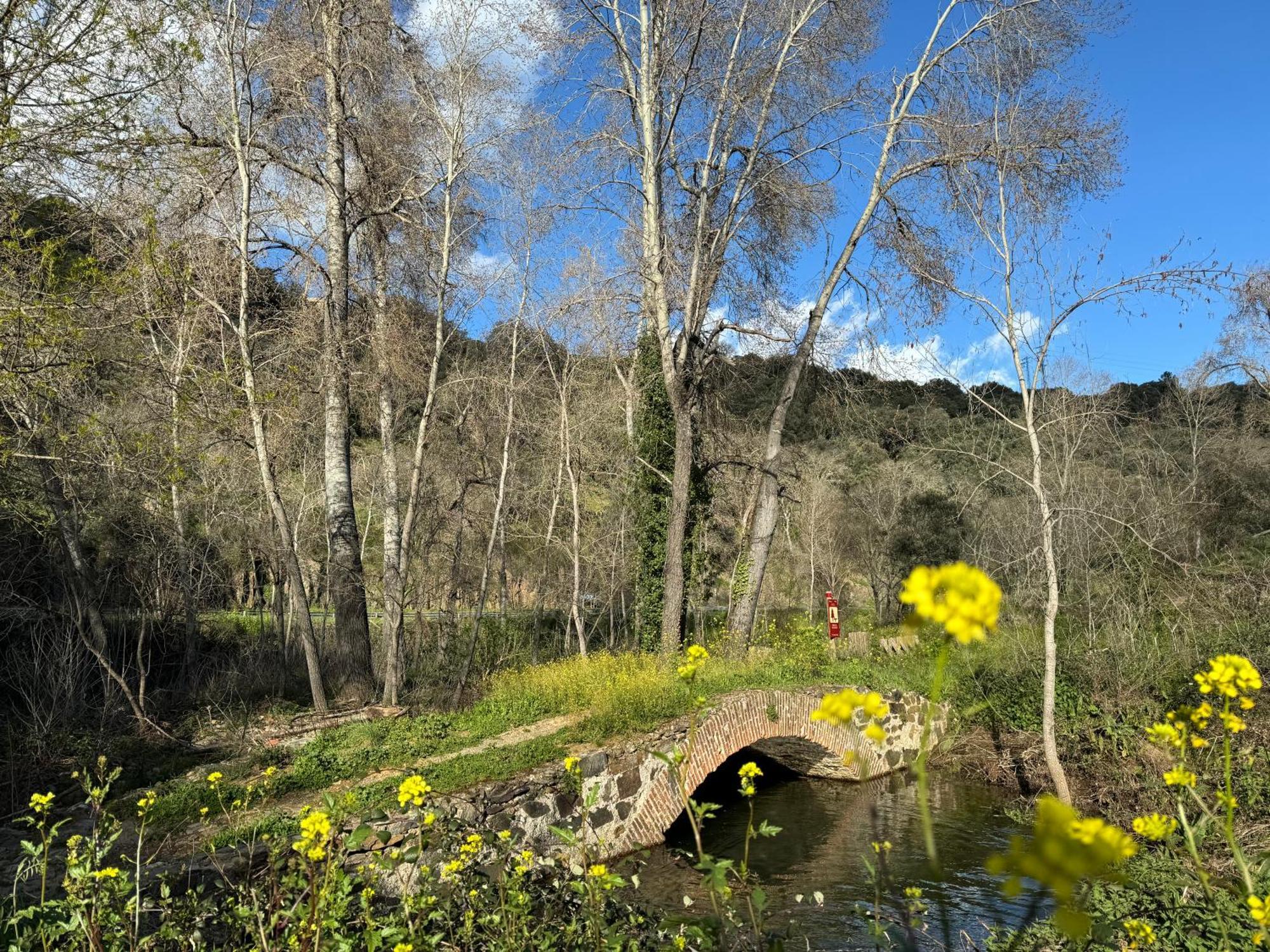 El Patio De Los Naranjos Guadalupe  Dış mekan fotoğraf